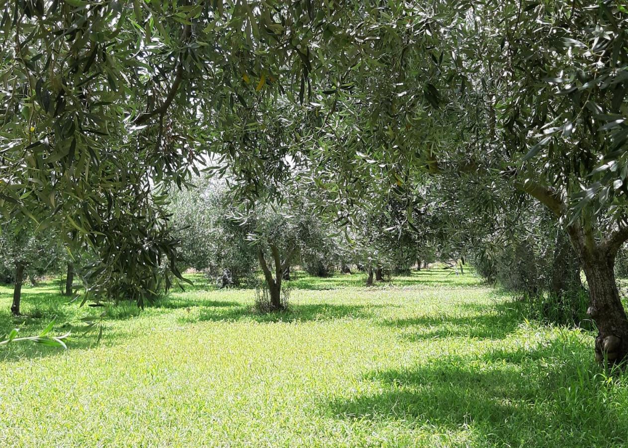 מנפי Casetta Relax Da Antonio מראה חיצוני תמונה